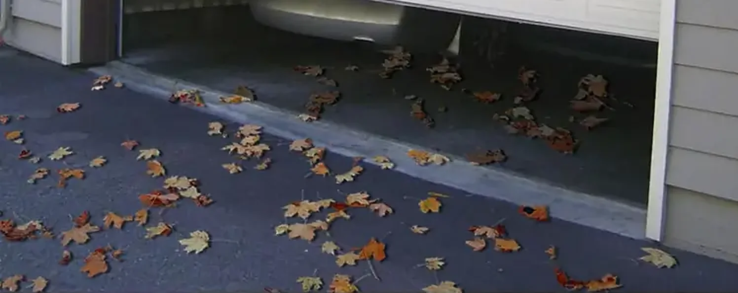 Garage door gap with autumn leaves blown inside, and the same door with a DGSL threshold seal keeping the leaves outside