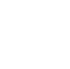 DGSL logo